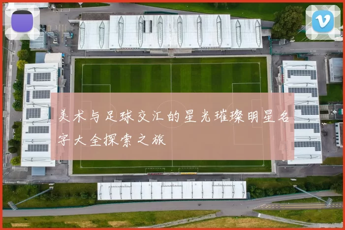美术与足球交汇的星光璀璨明星名字大全探索之旅