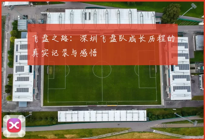 飞盘之路：深圳飞盘队成长历程的真实记录与感悟