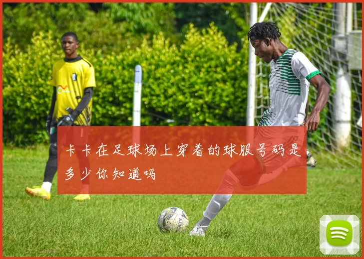 卡卡在足球场上穿着的球服号码是多少你知道吗