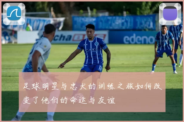 足球明星与忠犬的训练之旅如何改变了他们的命运与友谊