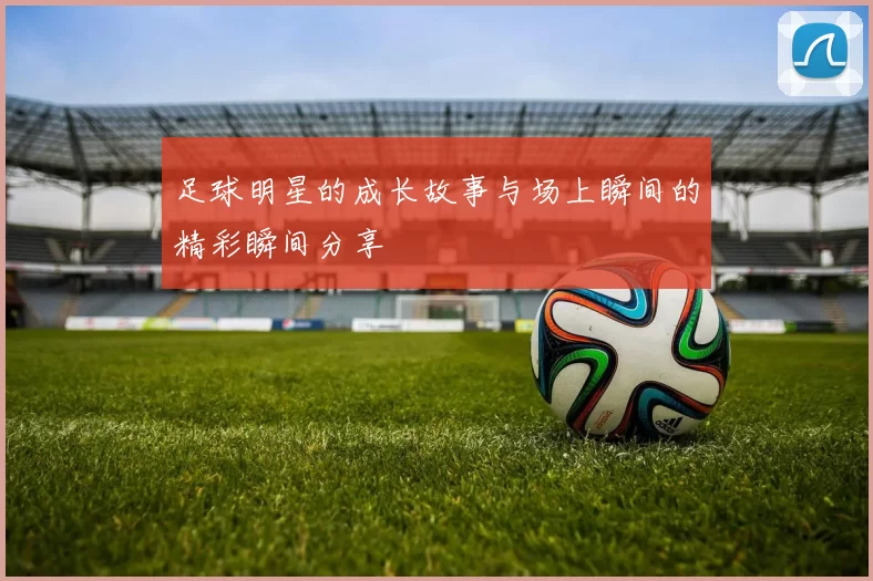 足球明星的成长故事与场上瞬间的精彩瞬间分享