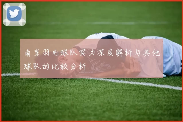 南京羽毛球队实力深度解析与其他球队的比较分析