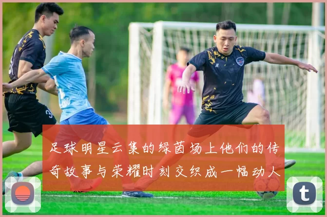 足球明星云集的绿茵场上他们的传奇故事与荣耀时刻交织成一幅动人画卷