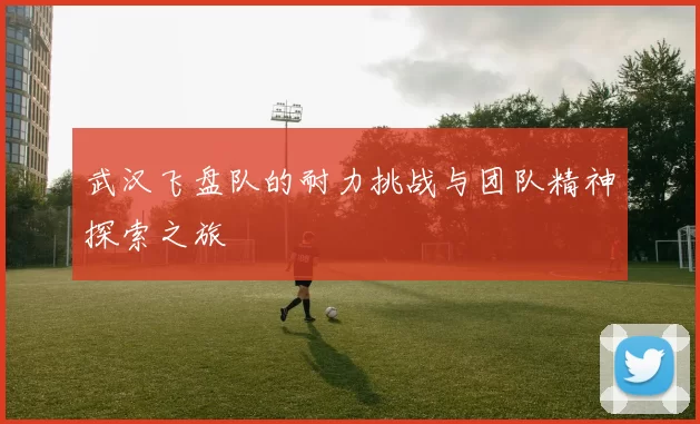 武汉飞盘队的耐力挑战与团队精神探索之旅