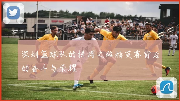深圳篮球队的拼搏之路精英赛背后的奋斗与荣耀