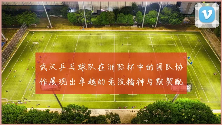 武汉乒乓球队在洲际杯中的团队协作展现出卓越的竞技精神与默契配合