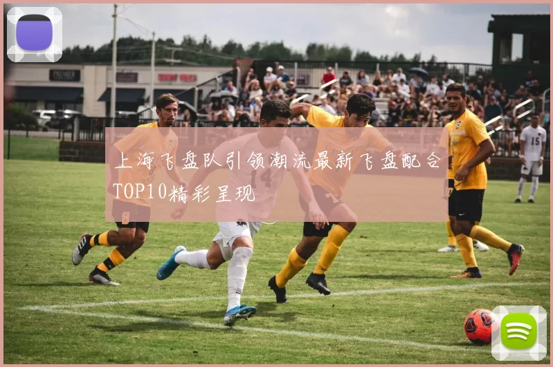上海飞盘队引领潮流最新飞盘配合TOP10精彩呈现