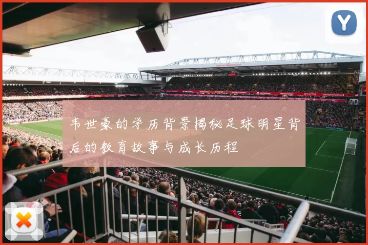 韦世豪的学历背景揭秘足球明星背后的教育故事与成长历程