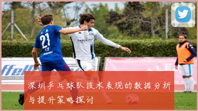 深圳乒乓球队技术表现的数据分析与提升策略探讨