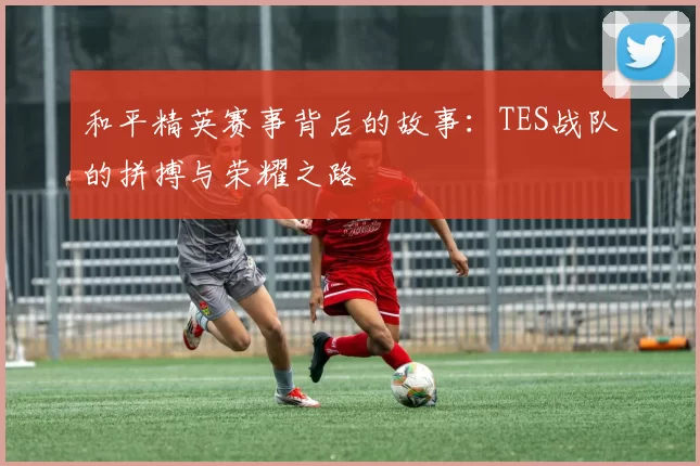 和平精英赛事背后的故事：TES战队的拼搏与荣耀之路