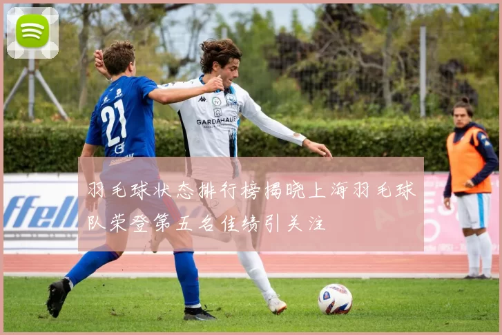 羽毛球状态排行榜揭晓上海羽毛球队荣登第五名佳绩引关注