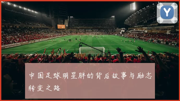 中国足球明星胖的背后故事与励志转变之路