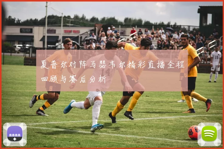 夏普尔对阵马瑟韦尔精彩直播全程回顾与赛后分析