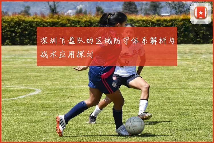 深圳飞盘队的区域防守体系解析与战术应用探讨