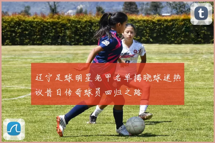 辽宁足球明星老甲名单揭晓球迷热议昔日传奇球员回归之路