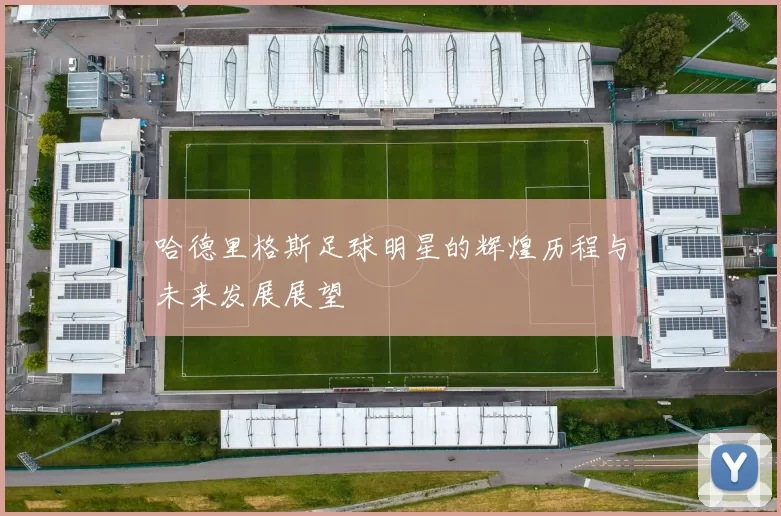 哈德里格斯足球明星的辉煌历程与未来发展展望