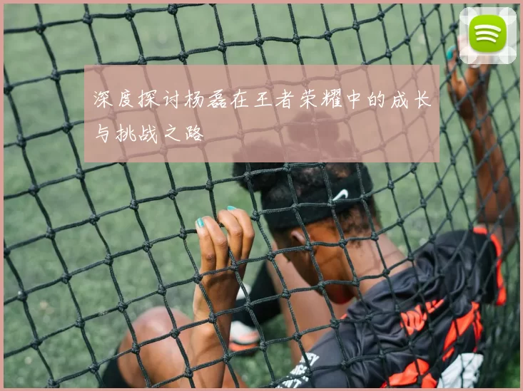 深度探讨杨磊在王者荣耀中的成长与挑战之路