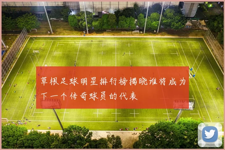 草根足球明星排行榜揭晓谁将成为下一个传奇球员的代表