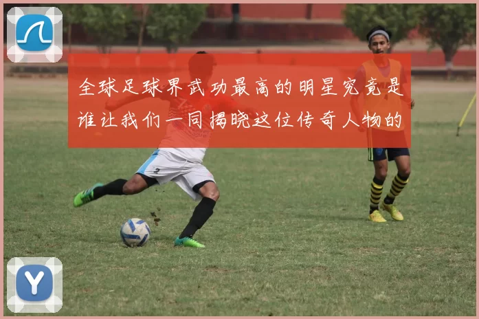 全球足球界武功最高的明星究竟是谁让我们一同揭晓这位传奇人物的辉煌成就
