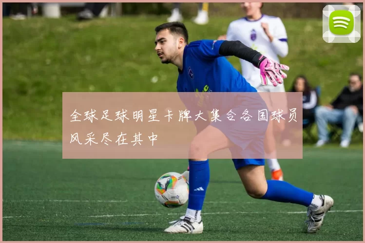 全球足球明星卡牌大集合各国球员风采尽在其中