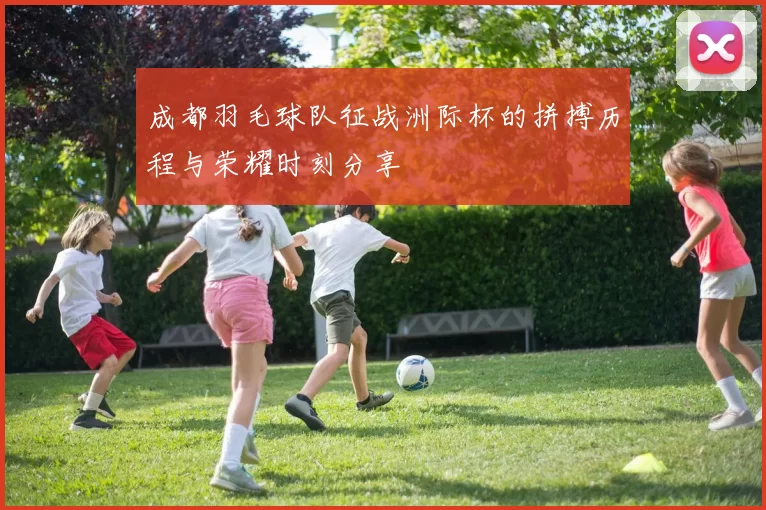 成都羽毛球队征战洲际杯的拼搏历程与荣耀时刻分享
