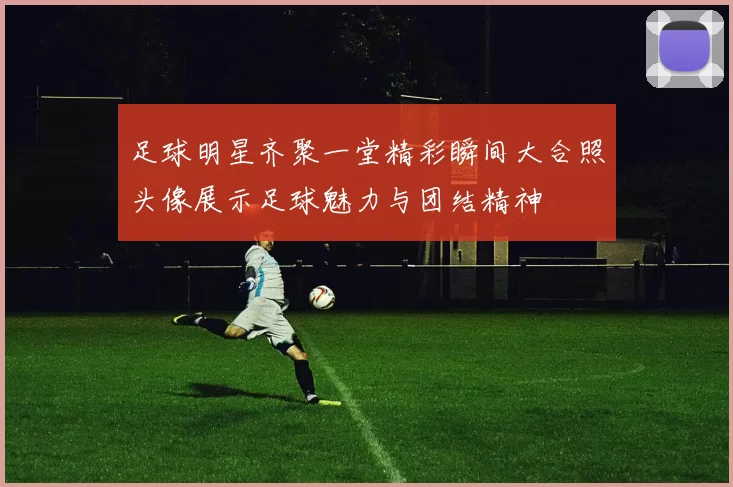 足球明星齐聚一堂精彩瞬间大合照头像展示足球魅力与团结精神