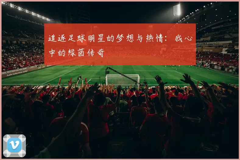 追逐足球明星的梦想与热情：我心中的绿茵传奇
