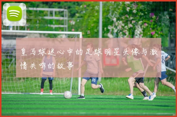 皇马球迷心中的足球明星头像与激情共鸣的故事